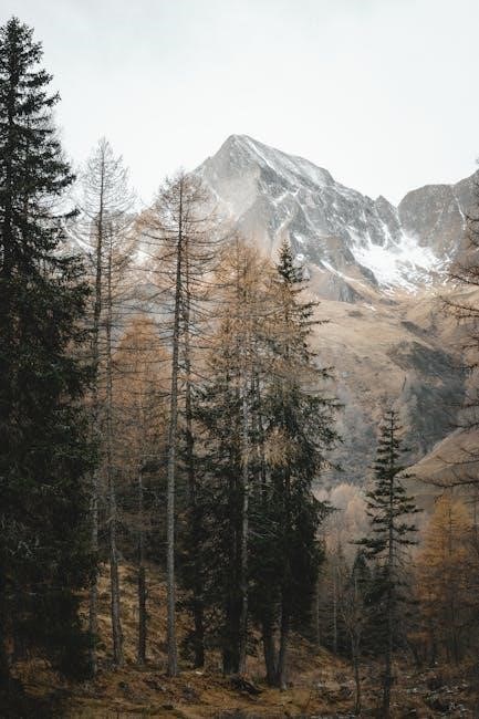 bn59-0131a remote manual