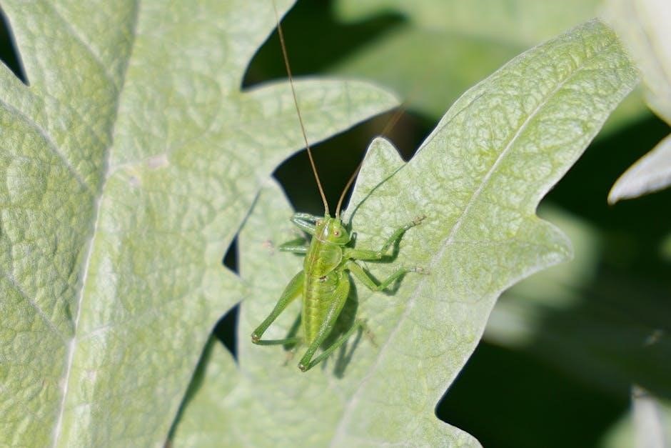 where wild things are pdf